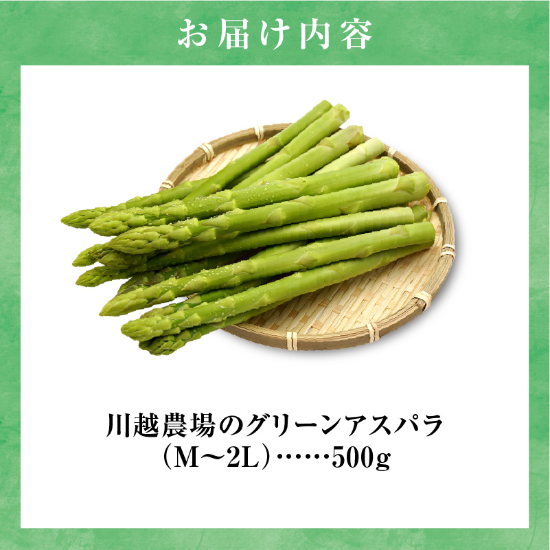 【先行受付】2026年発送 朝採りグリーンアスパラ   500g＜ 川越農場 ＞野菜 春 夏 北海道アスパラ 雨竜町産 パスタ サラダ スープ 旬 やわ旨