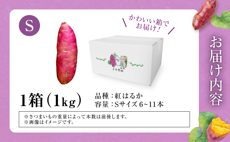 ãæ°ééå®ããªãŸãçãïŒåæµ·ééšç«çºç£ ãã€ãŸãã ãçŽ
ã¯ããã Sãµã€ãº 1kg å°ãããµã€ãº ç£å°çŽé ãã€ãŸãã ãµããã€ã¢ åæµ·é åœç£ ãã〠ãèåäœã æç