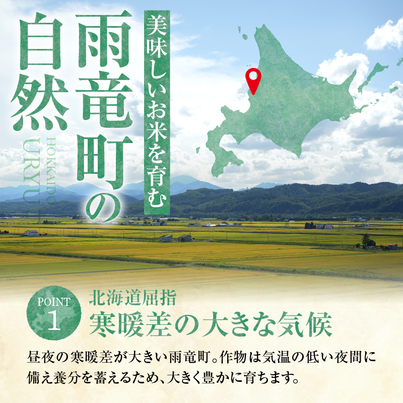 【8月配送】うりゅう米ななつぼし無洗米10kg（5kg×2袋）