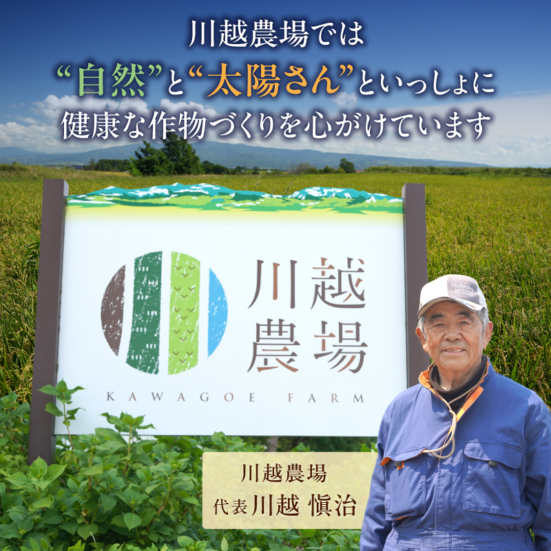 什å7å¹Žç£ å·è¶ããã¡ã® ããŒãã¥ã 5kg (5kgÃ1è¢) éšç«ç£ ããŒãã¥ã 粟米 5kg ãç±³ ãã«ãã ãåŒåœ ãåãå¯ã åæµ·é éšç«çº