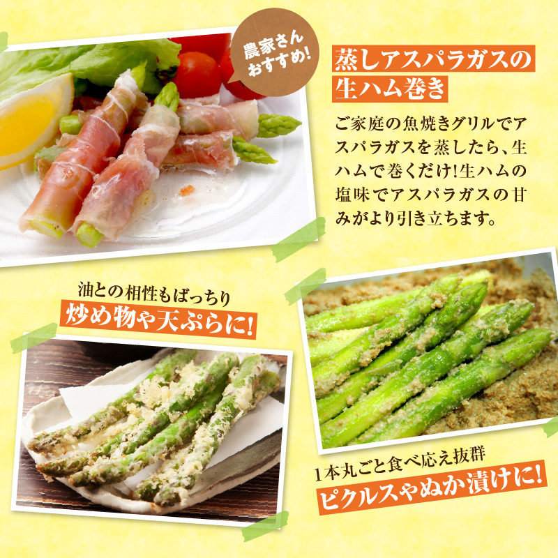 【先行受付】2026年発送 朝採りグリーンアスパラ  2kg＜ 川越農場 ＞野菜 春 夏 北海道アスパラ 雨竜町産 パスタ サラダ スープ 旬 やわ旨