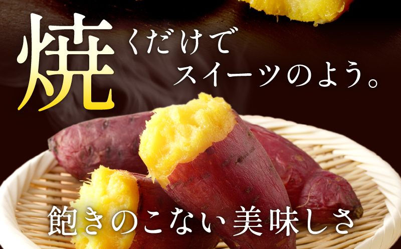 ãæ°ééå®ããªãŸãçãïŒåæµ·ééšç«çºç£ ãã€ãŸãã ãçŽ
ã¯ããã Sãµã€ãº 1kg å°ãããµã€ãº ç£å°çŽé ãã€ãŸãã ãµããã€ã¢ åæµ·é åœç£ ãã〠ãèåäœã æç