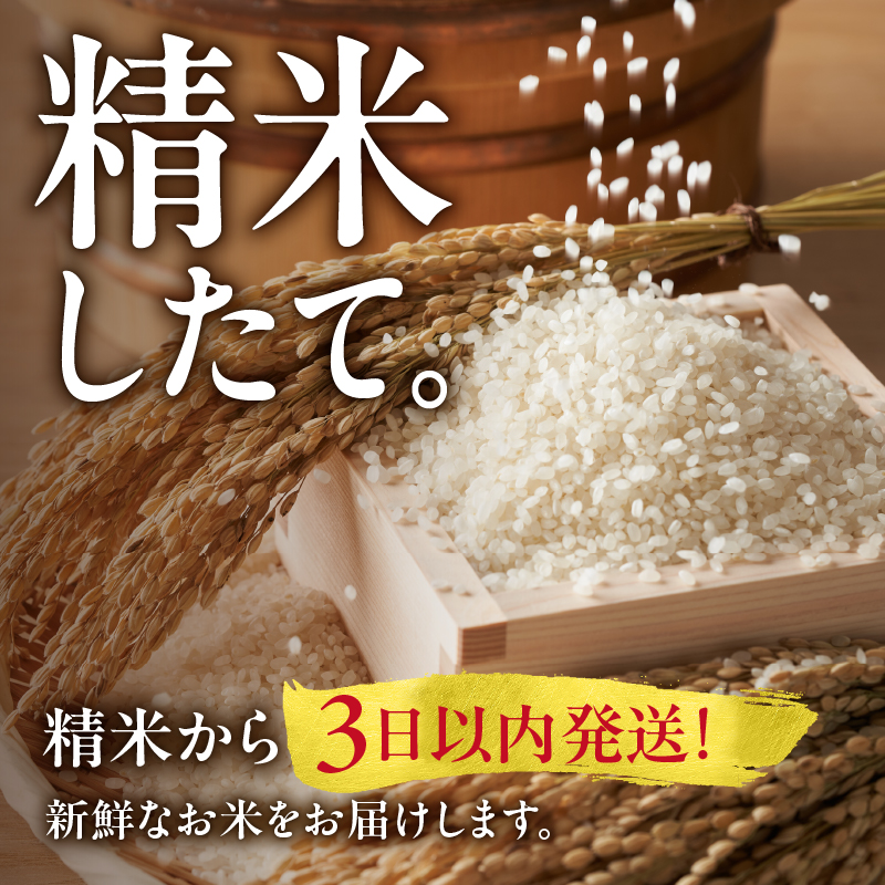 縲先眠邀ウ莠育エ窶サ10譛育匱騾≫サ縲 縺繧翫e縺邀ウ 縺ェ縺ェ縺、縺シ縺 辟。豢礼アウ 10kgシ5kgテ2陲具シ雲R8U001-006-10