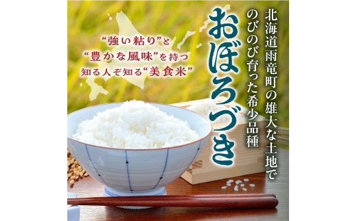 【定期便全2回】令和7年産 川越さんちの おぼろづき　5kg（5kg×1袋）毎月1回お届け 雨竜産 おぼろづき 精米 定期便 5kg お米 おにぎり お弁当 お取り寄せ 北海道 雨竜町