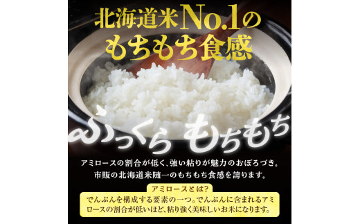 【定期便全2回】令和7年産 川越さんちの おぼろづき　5kg（5kg×1袋）毎月1回お届け 雨竜産 おぼろづき 精米 定期便 5kg お米 おにぎり お弁当 お取り寄せ 北海道 雨竜町