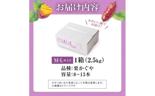 ãæ°ééå®ãåæµ·ééšç«çºç£ ãã€ãŸãã ãæ ããããM-Lãµã€ãº 2.5kg 倧ãããµã€ãº ç£å°çŽé ãã€ãŸãã ãµããã€ã¢ åæµ·é åœç£ ãã〠ãèåäœã æç