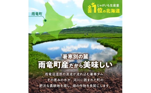 2026年9月中旬～発送 北海道産 じゃがいも 男爵 5kg  男爵芋 ジャガイモ 芋 いも 秋野菜 季節の野菜 直送農場 北海道雨竜町産 サイズ混同 野菜 U012-0003