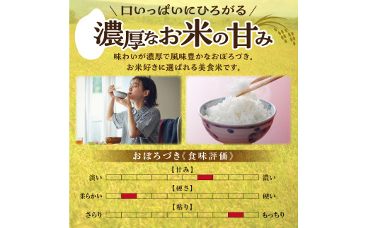 【定期便全2回】令和7年産 川越さんちの おぼろづき　5kg（5kg×1袋）毎月1回お届け 雨竜産 おぼろづき 精米 定期便 5kg お米 おにぎり お弁当 お取り寄せ 北海道 雨竜町
