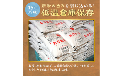 【定期便全2回】令和7年産 川越さんちの おぼろづき　5kg（5kg×1袋）毎月1回お届け 雨竜産 おぼろづき 精米 定期便 5kg お米 おにぎり お弁当 お取り寄せ 北海道 雨竜町