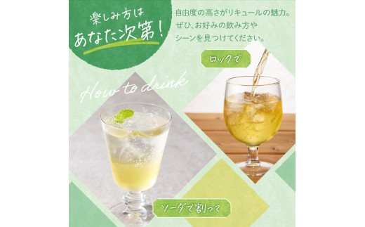 ãªãã¥ãŒã« æå¯ã¡ãã³ãªãã¥ãŒã« 300ml à 2æ¬ åæµ·éç£ æå¯ã¡ãã³ éèã¡ãã³ ãã㯠çé
žå²ã å®
飲㿠家飲ã¿