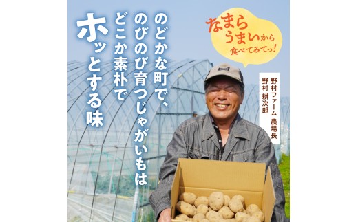 2026年9月中旬～発送 北海道産 じゃがいも 男爵 5kg  男爵芋 ジャガイモ 芋 いも 秋野菜 季節の野菜 直送農場 北海道雨竜町産 サイズ混同 野菜 U012-0003