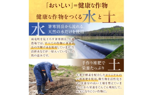【定期便全2回】令和7年産 川越さんちの おぼろづき　5kg（5kg×1袋）毎月1回お届け 雨竜産 おぼろづき 精米 定期便 5kg お米 おにぎり お弁当 お取り寄せ 北海道 雨竜町