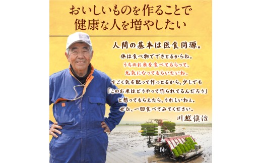 【定期便全2回】令和7年産 川越さんちの おぼろづき　5kg（5kg×1袋）毎月1回お届け 雨竜産 おぼろづき 精米 定期便 5kg お米 おにぎり お弁当 お取り寄せ 北海道 雨竜町