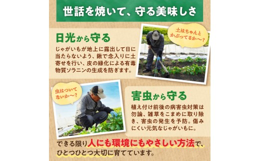 2026年9月中旬～発送 北海道産 じゃがいも 男爵 5kg  男爵芋 ジャガイモ 芋 いも 秋野菜 季節の野菜 直送農場 北海道雨竜町産 サイズ混同 野菜 U012-0003