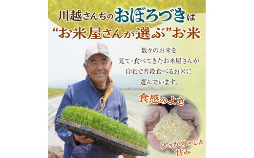 【定期便全2回】令和7年産 川越さんちの おぼろづき　5kg（5kg×1袋）毎月1回お届け 雨竜産 おぼろづき 精米 定期便 5kg お米 おにぎり お弁当 お取り寄せ 北海道 雨竜町