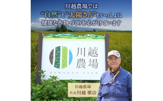 【定期便全2回】令和7年産 川越さんちの おぼろづき　5kg（5kg×1袋）毎月1回お届け 雨竜産 おぼろづき 精米 定期便 5kg お米 おにぎり お弁当 お取り寄せ 北海道 雨竜町