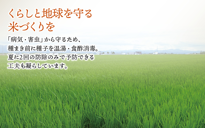 令和7年産 ななつぼし 10kg ( 5kg ×2袋 ) 【sun400-nana-r10-R7B】