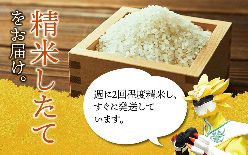 令和7年産 ななつぼし 5kg 【sun400-nana-r5-R7B】