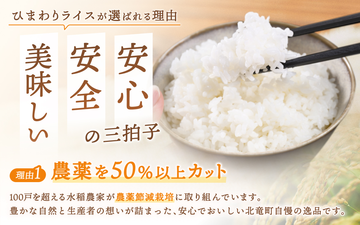 新米 予約 令和8年度産 おぼろづき 5kg 白米 / 低農薬米 北海道 北竜町産 ※通常2～3週間でお届け予定【sun400-obo-r5-R8A】
