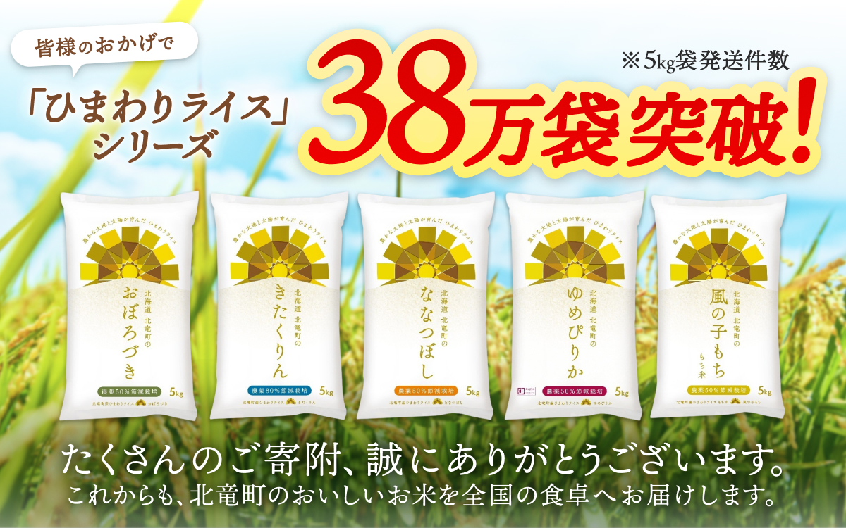 新米 予約 令和8年度産 おぼろづき 5kg 白米 / 低農薬米 北海道 北竜町産 ※通常2～3週間でお届け予定【sun400-obo-r5-R8A】