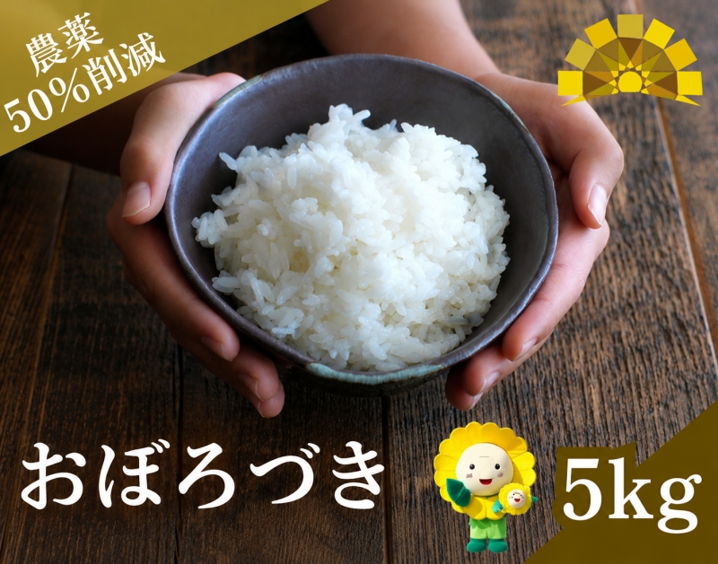 新米 予約 令和8年度産 おぼろづき 5kg 白米 / 低農薬米 北海道 北竜町産 ※2026年10月中旬～順次発送【uni400-obo-r5-R8】