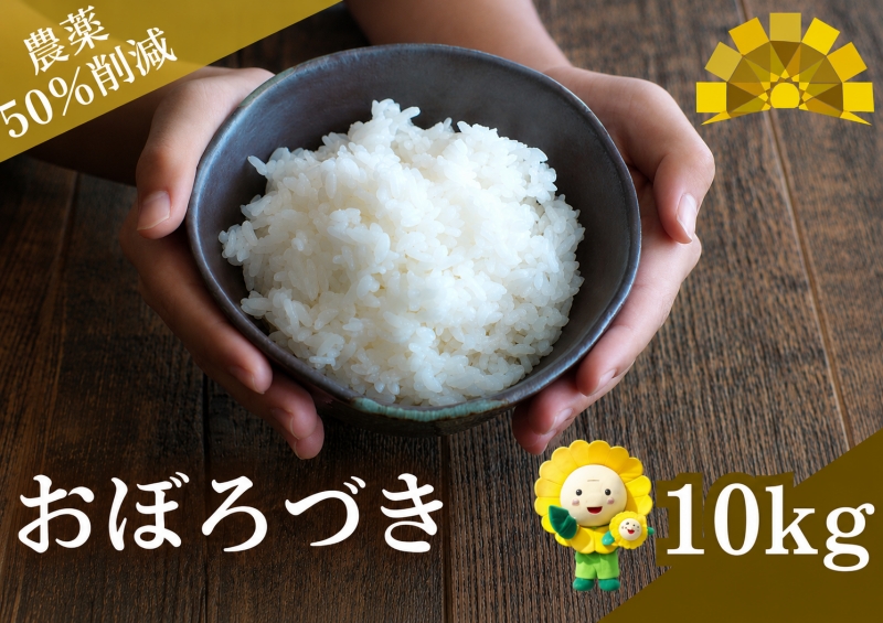 新米 予約 令和8年度産 おぼろづき 白米 10kg(5kg×2袋) / 低農薬米 北海道 北竜町産 ※2026年10月中旬～順次発送 【uni400-obo-r10-R8】