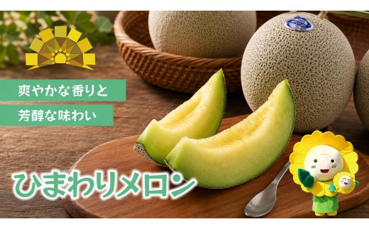 ひまわり メロン 青肉 2玉 / 高級 北海道 高糖度 甘い  ※7月上旬～8月上旬に順次発送 【sun514-ao-2A】