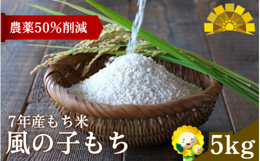 【令和7年産もち米】 風の子 もち 5kg 北海道北竜町産 /もち米 【sun408-mochi-5-R7A】