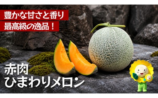 ひまわり メロン 赤肉 2玉 / 高級 北海道 高糖度 甘い  ※9月中旬から10月中旬に順次発送 2玉 1箱 【sun514-aka-2A】