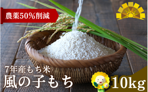【令和7年産もち米】 風の子もち 10kg 北海道 北竜町産 /もち米　【sun408-mochi-10-R7A】
