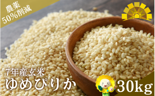令和7年産 玄米 ゆめぴりか 30kg / ごはん こめ 米 お米 北海道 北海道米 【kja400-yume-g30-R7A】