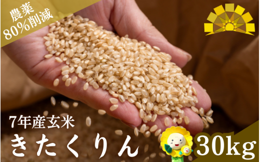 令和7年産 玄米 きたくりん 30kg / ごはん こめ 米 お米 北海道 北海道米 【kja400-kita-g30-R7A】