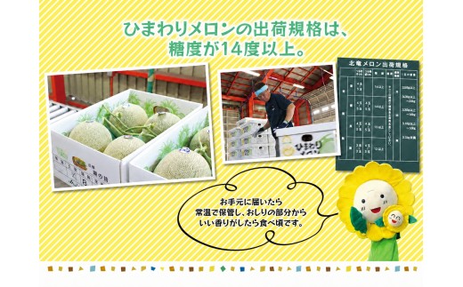 ひまわり メロン 赤肉 2玉 / 高級 北海道 高糖度 甘い  ※9月中旬から10月中旬に順次発送 2玉 1箱 【sun514-aka-2A】