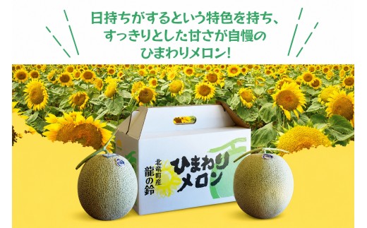 ひまわり メロン 赤肉 2玉 / 高級 北海道 高糖度 甘い  ※9月中旬から10月中旬に順次発送 2玉 1箱 【sun514-aka-2A】