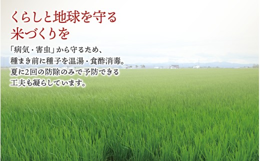 定期便3ヶ月 令和7年産 無洗米 ゆめぴりか 10kg×3回【sun500-yume-m10x3-R7A】