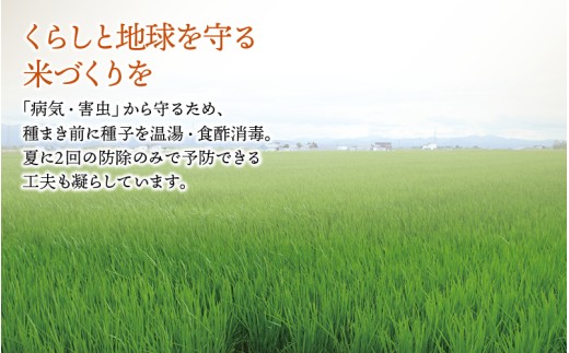 令和7年産 ななつぼし 4kg 【sun400-nana-r4-R7】