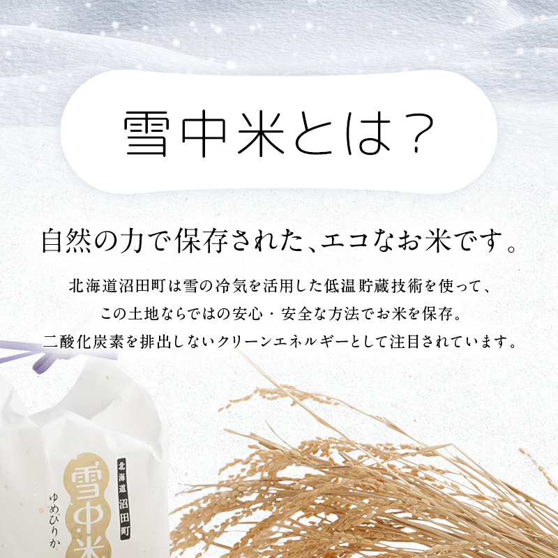 令和7年産 特Aランク米 ななつぼし 無洗米 20kg（5kg×4袋）【5月発送】 雪冷気 籾貯蔵 雪中米 北海道 nr-1457
