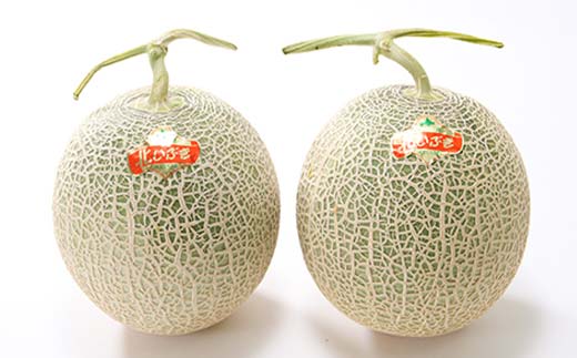 【先行予約】令和8年産 妃メロン 赤肉 大玉 2玉（令和8年7月下旬～8月中旬発送予定） 北海道 n-0189