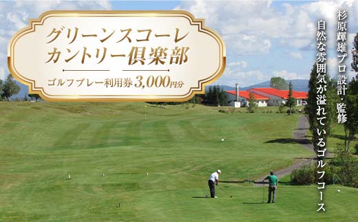 グリーンスコーレカントリー倶楽部ゴルフプレー利用券（3,000円分） n-0071