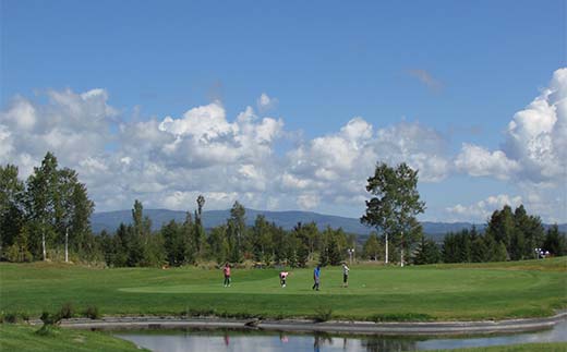 グリーンスコーレカントリー倶楽部ゴルフプレー利用券（3,000円分） n-0071