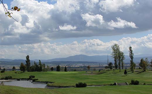 グリーンスコーレカントリー倶楽部ゴルフプレー利用券（3,000円分） n-0071