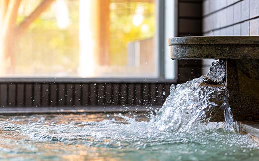 ほろしん温泉ほたる館 ペア宿泊券【1泊2食】（２名様） 北海道 旅行 ホテル n-0005