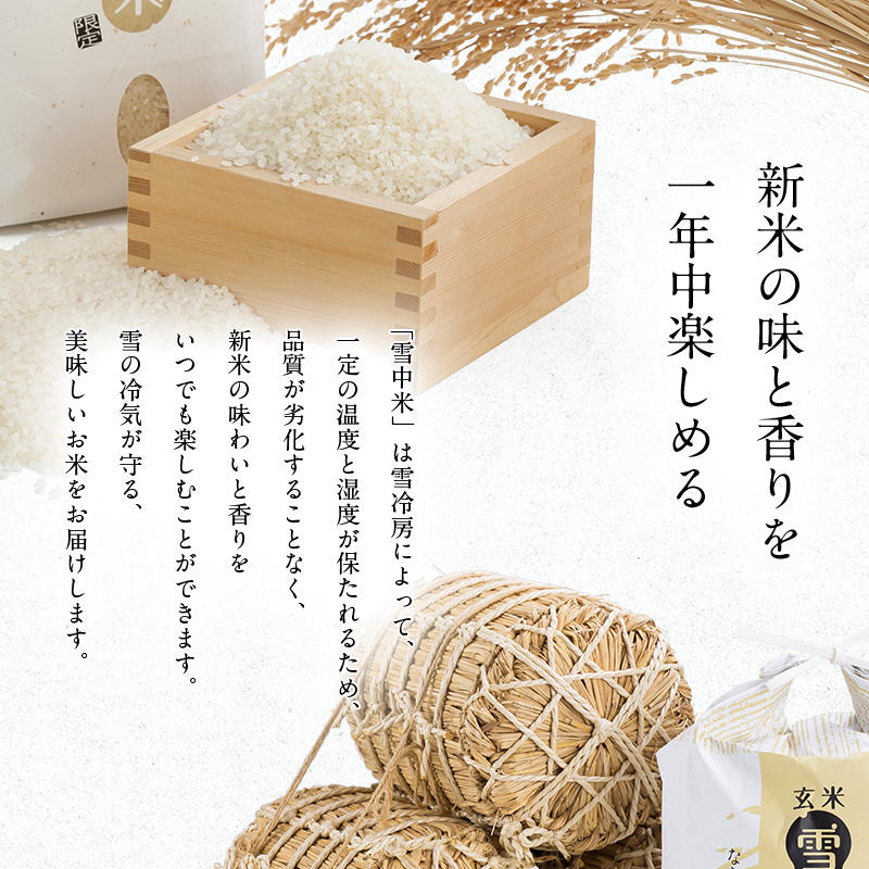 令和8年産 特Aランク米 ななつぼし 玄米 5kg（5kg×1袋）【7月発送】 雪冷気 籾貯蔵 雪中米 北海道 nr-2151