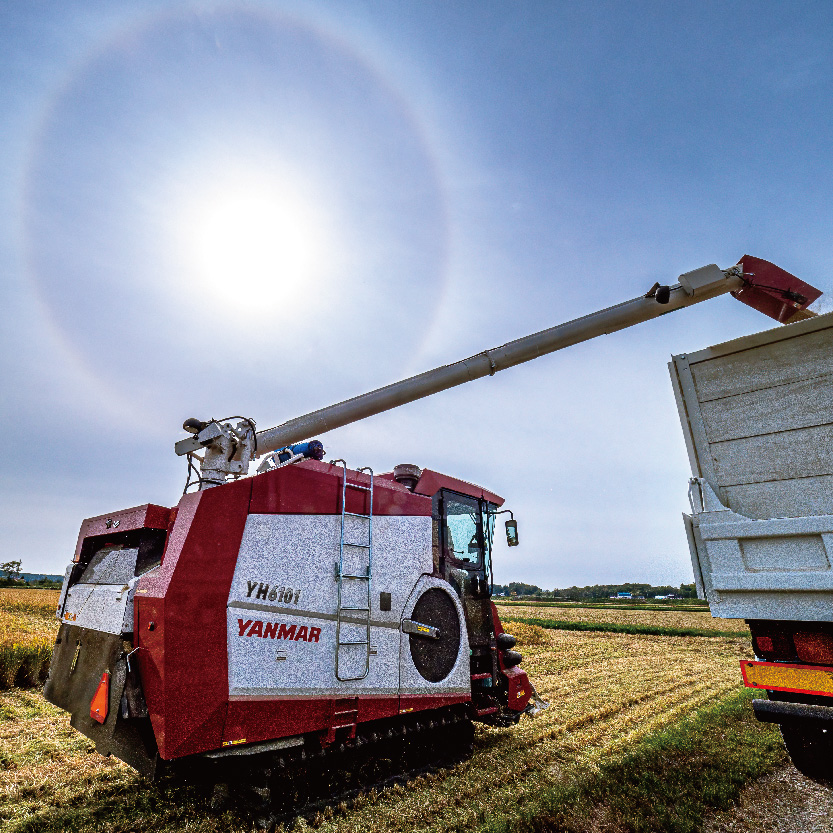 ãå
è¡äºçŽã什å7å¹Žç£ ç¹Aã©ã³ã¯ç±³ ãããŽãã ç¡æŽç±³ 10kgïŒ5kgÃ2è¢ïŒã7æçºéãéªå·æ° ç±Ÿè²¯èµ éªäžç±³ åæµ·é nr-0315