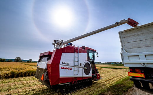 ãå®æäŸ¿3ã¶æããªãªã€ãŒã 粟米 10kgïŒ5kgÃ2è¢ïŒ 5æçºééå§ éªå·æ° ç±Ÿè²¯èµ éªäžç±³ åæµ·é nr-0778