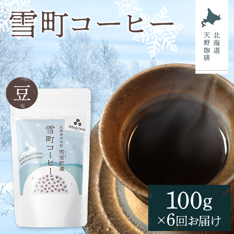 【定期便】雪町コーヒー 豆（100g）1個×6回 自家焙煎 低温貯蔵 エチオピア 北海道 沼田町 n-0115