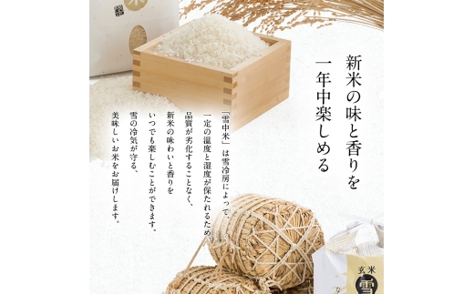 莉、蜥8蟷エ逕」 迚ケA繝ゥ繝ウ繧ッ邀ウ 繧繧√エ繧翫° 邊セ邀ウ 5kgシ5kgテ1陲具シ峨1譛育匱騾√鷹妛蜀キ豌 邀セ雋ッ阡オ 髮ェ荳ュ邀ウ 蛹玲オキ驕 nr-1551