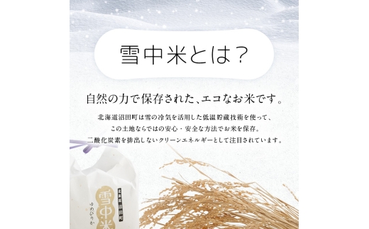 莉、蜥8蟷エ逕」 迚ケA繝ゥ繝ウ繧ッ邀ウ 繧繧√エ繧翫° 邊セ邀ウ 20kgシ5kgテ4陲具シ峨2譛育匱騾√鷹妛蜀キ豌 邀セ雋ッ阡オ 髮ェ荳ュ邀ウ 蛹玲オキ驕 nr-1574