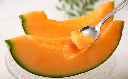 【先行予約】令和8年産 妃メロン 赤肉 大玉 2玉（令和8年7月下旬～8月中旬発送予定） 北海道 n-0189