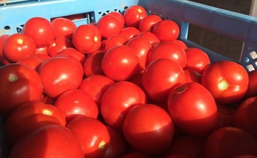 〔定期便〕完熟トマトジュース（加塩）190g×90缶×4回配送（3ヵ月毎）